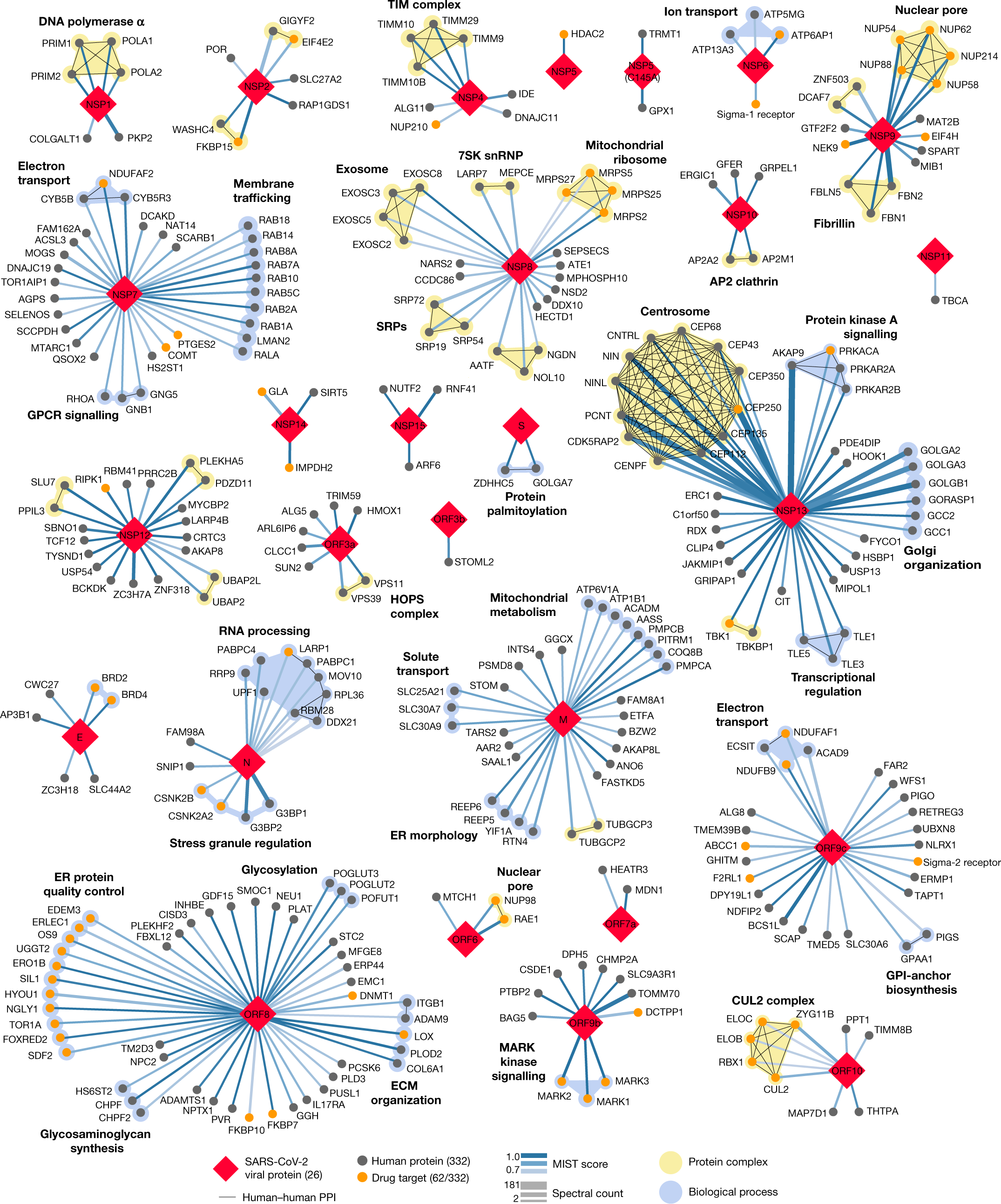 New tool enables mapping of protein interaction networks at scale