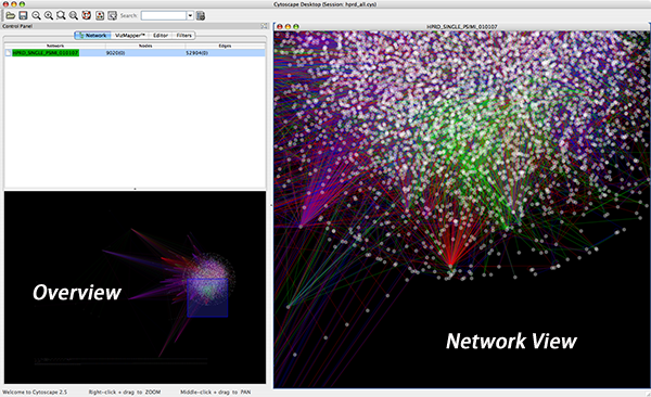 network_overview_25.png